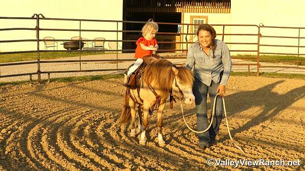 ranch-work-pony
