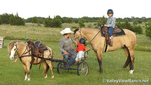 ridden-western-pony