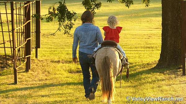 roping-pony