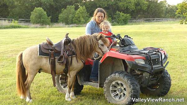 trail-pony