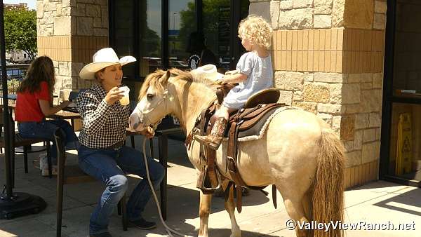 trail-riding-pony