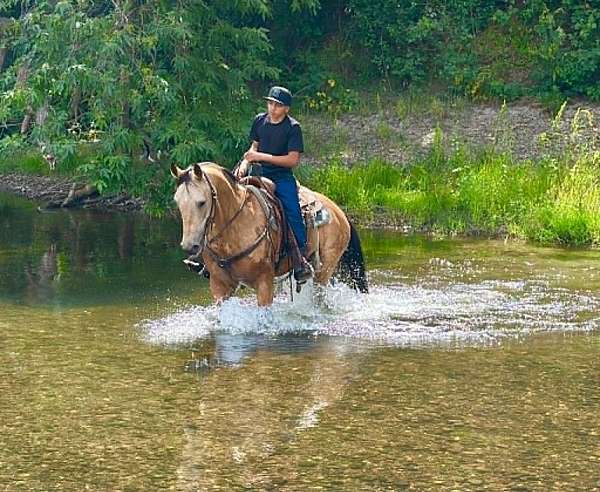 roping-quarter-horse