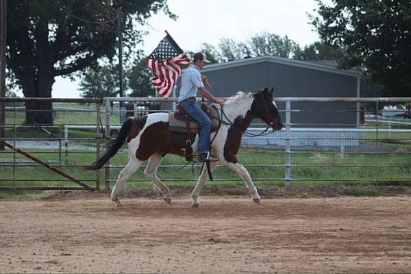 kid-safe-paint-horse