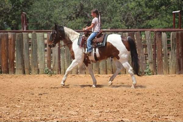 lesson-paint-horse