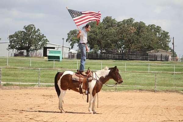 ranch-work-paint-horse