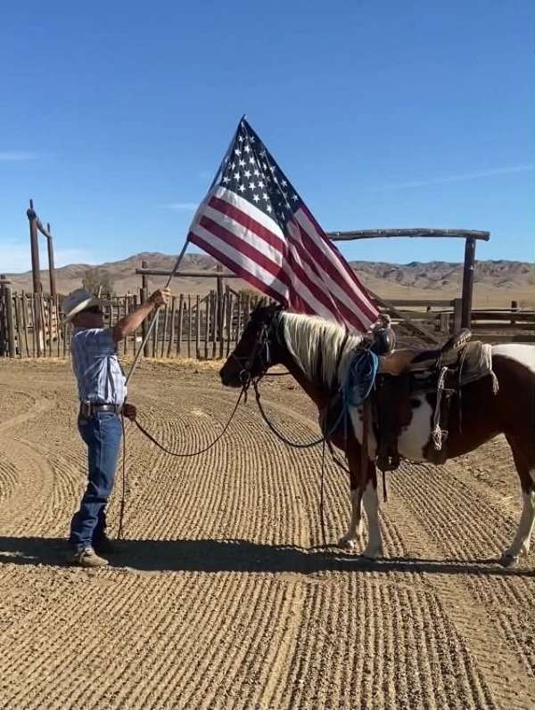 lesson-quarter-pony