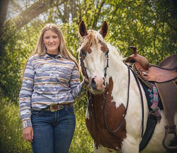 flashy-gypsy-vanner-horse