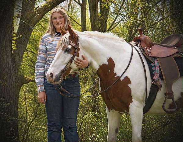 performance-gypsy-vanner-horse