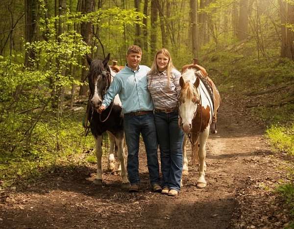 ranch-gypsy-vanner-horse