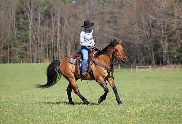 kid-safe-quarter-horse