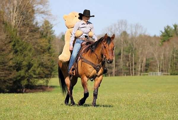 ranch-versatility-quarter-horse