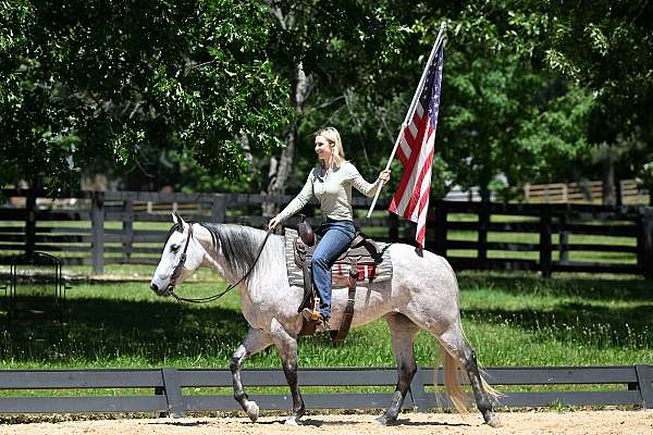 flashy-quarter-horse