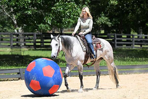 mare-quarter-horse