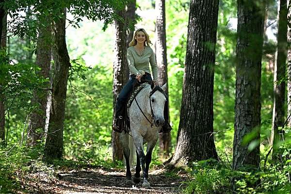 all-around-quarter-horse