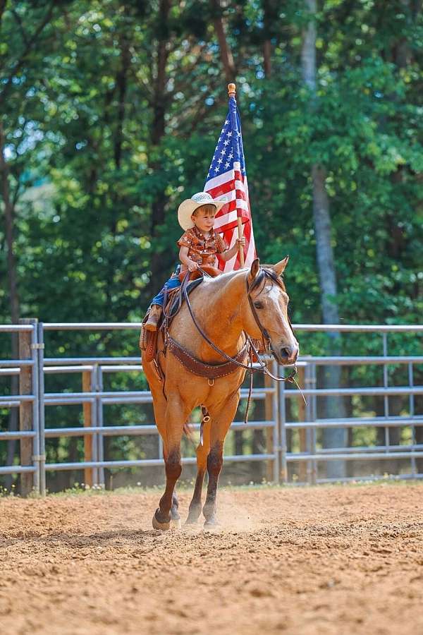 ranch-quarter-horse