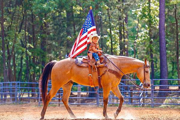 ranch-work-quarter-horse