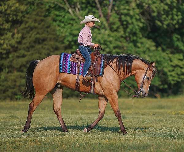 ridden-western-quarter-horse