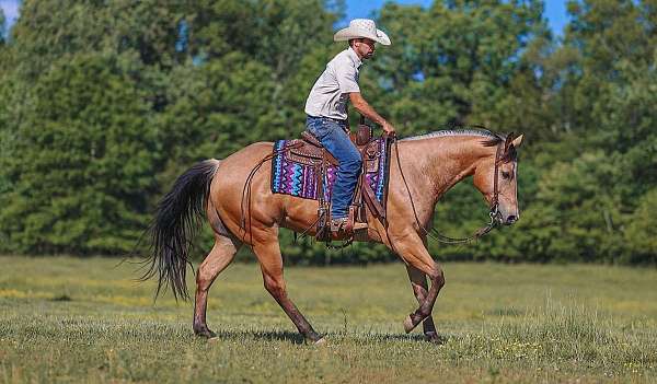 trail-riding-quarter-horse
