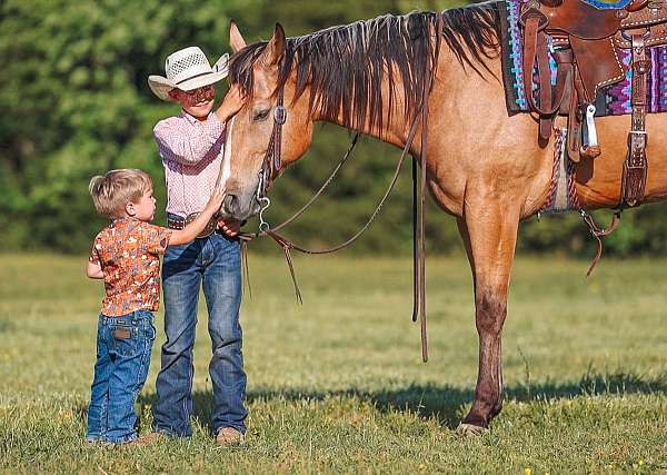 buckskin-quarter-horse-gelding