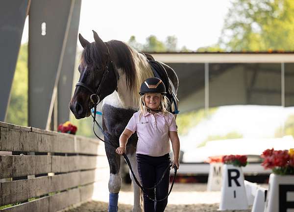 kid-safe-friesian-horse