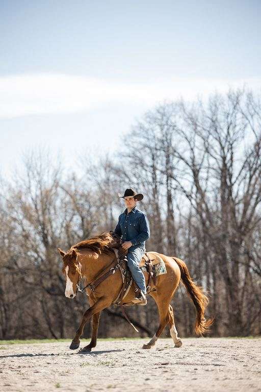 performance-quarter-horse