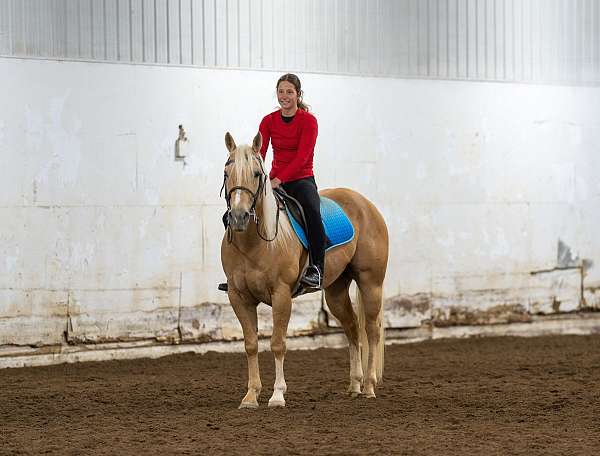 ranch-versatility-quarter-horse
