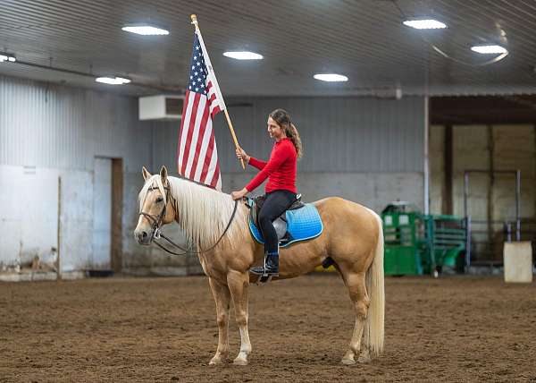 ridden-english-quarter-horse