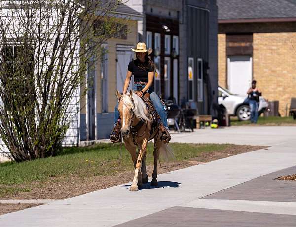 ridden-western-quarter-horse