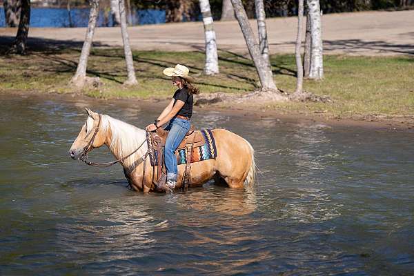 roping-quarter-horse