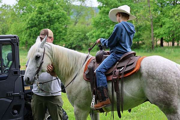 beginner-quarter-horse