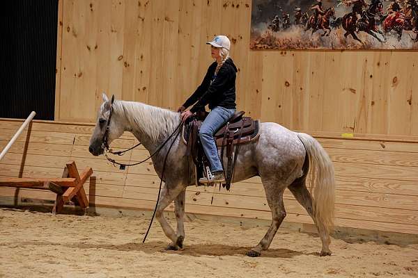husband-safe-quarter-horse