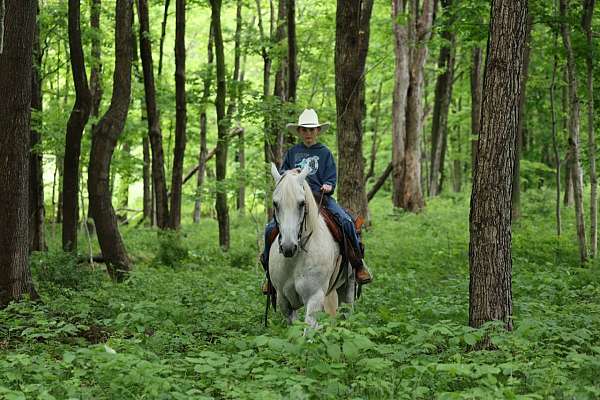 kid-safe-quarter-horse
