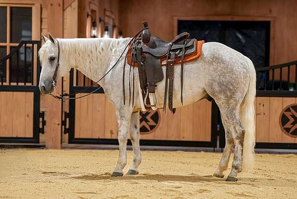 ranch-work-quarter-horse