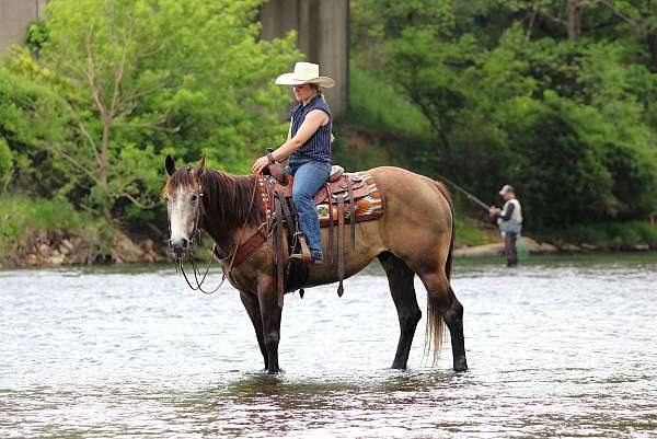 flashy-quarter-horse