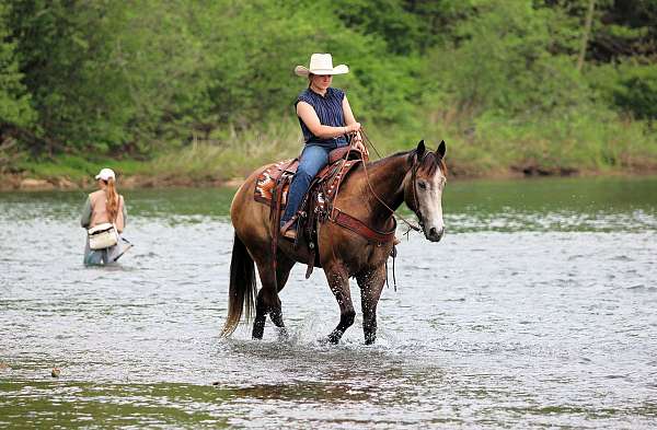 husband-safe-quarter-horse