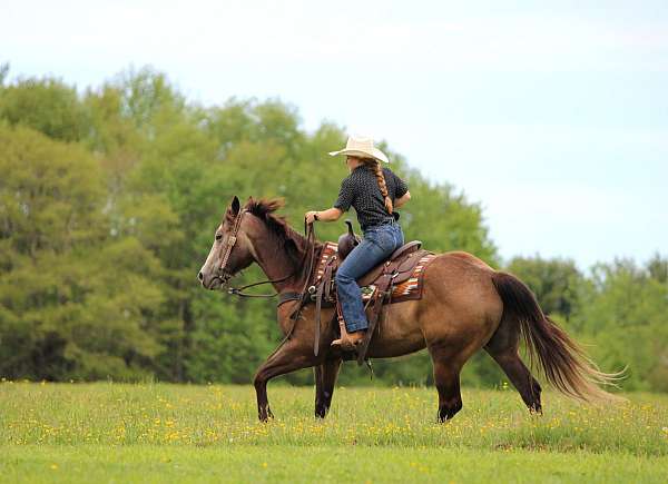 ranch-quarter-horse