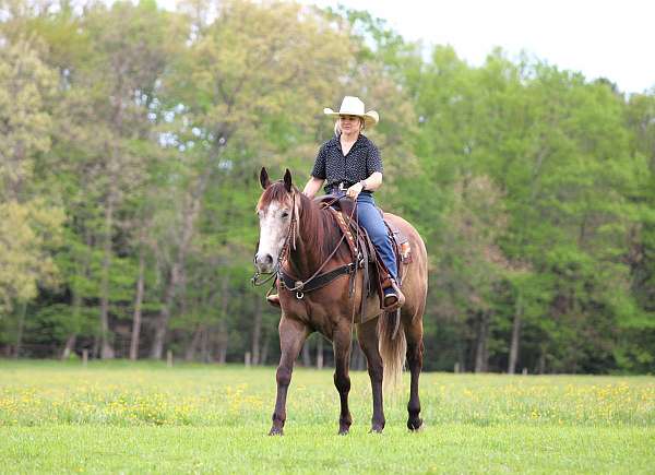 ranch-versatility-quarter-horse