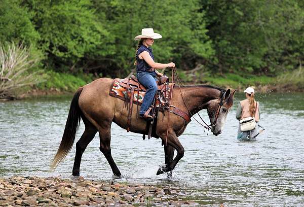 ranch-work-quarter-horse