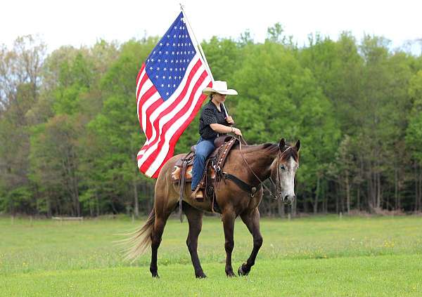 ridden-western-quarter-horse