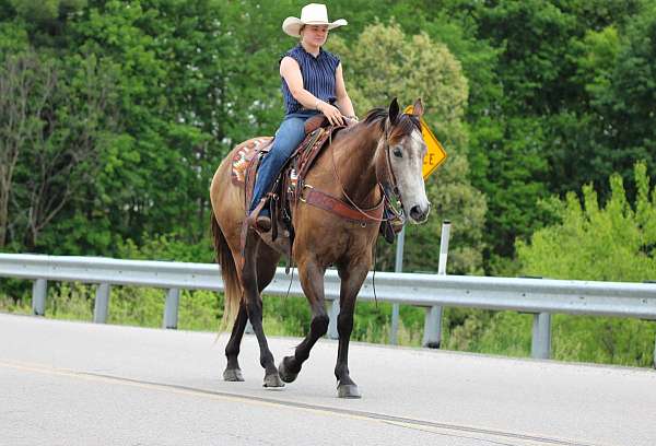 trail-riding-quarter-horse