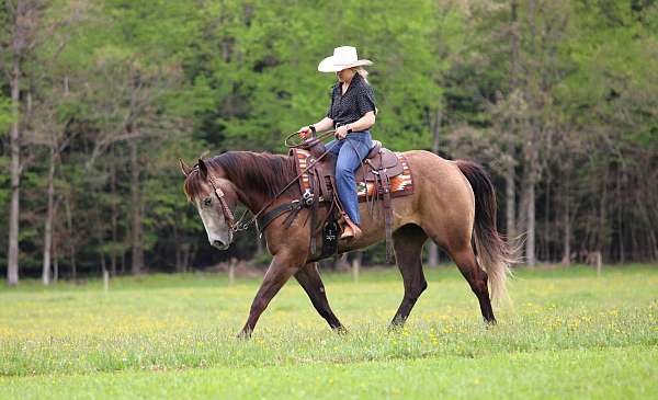 youth-quarter-horse