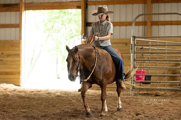 athletic-quarter-pony