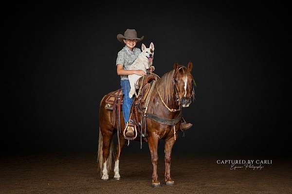 ranch-quarter-pony