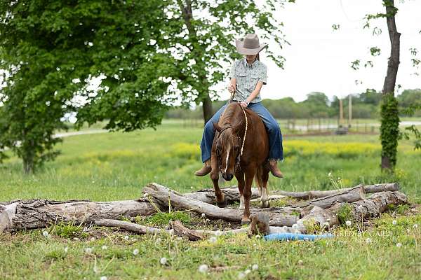 roping-quarter-pony