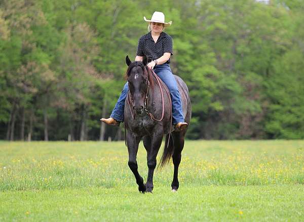 ranch-quarter-horse