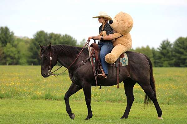 ranch-work-quarter-horse