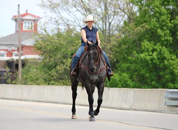 roping-quarter-horse