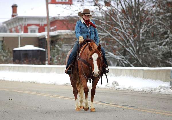 flashy-quarter-horse