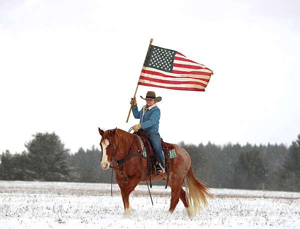 ranch-work-quarter-horse