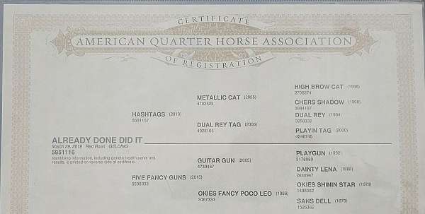 ranch-versatility-quarter-horse